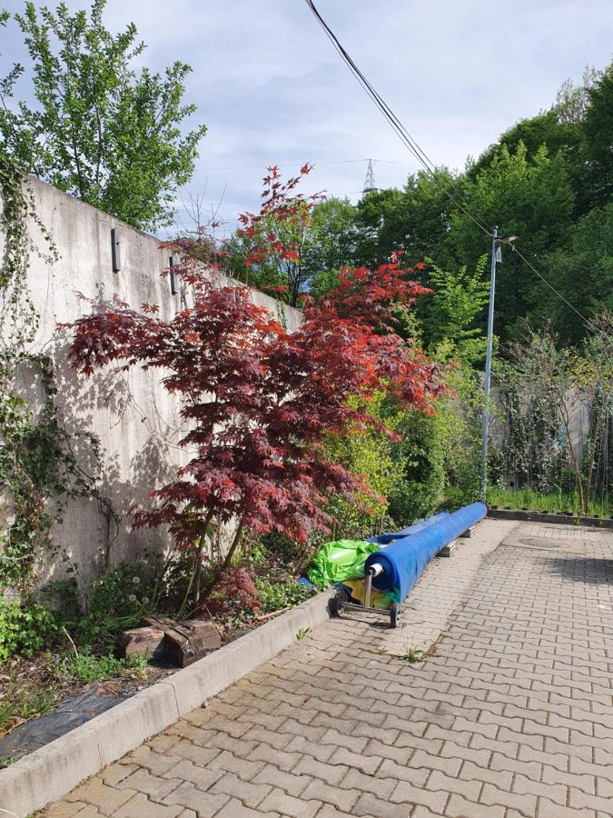 Hotel Pensiunea Roua Muntelui Brăzeşti Exterior foto