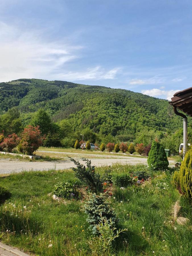 Hotel Pensiunea Roua Muntelui Brăzeşti Exterior foto